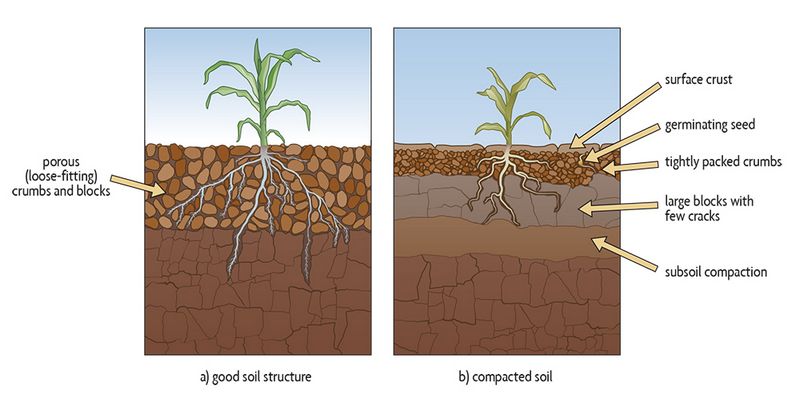 All About Soil Compaction Causes Challenges & Solutions