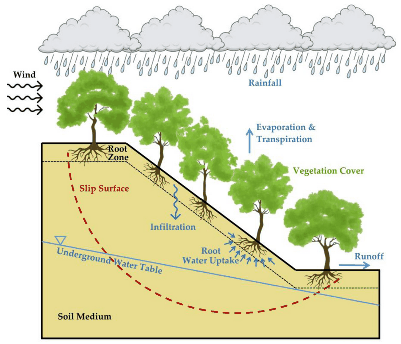 Environmental Impact of Soil Stabilization Techniques