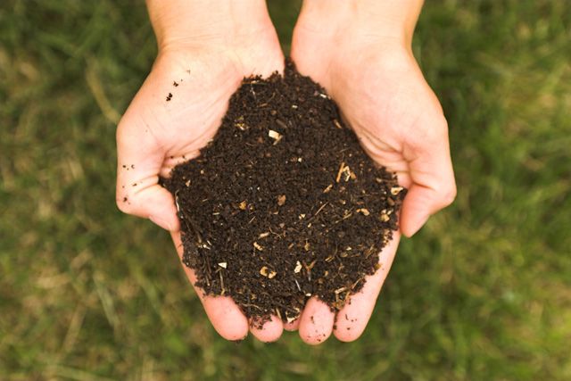 Green Thumb Guide to Compost Soil