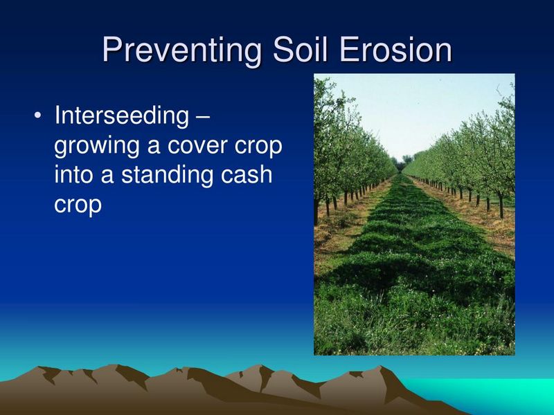 Preventing Erosion Through Advanced Soil Stabilization Strategies